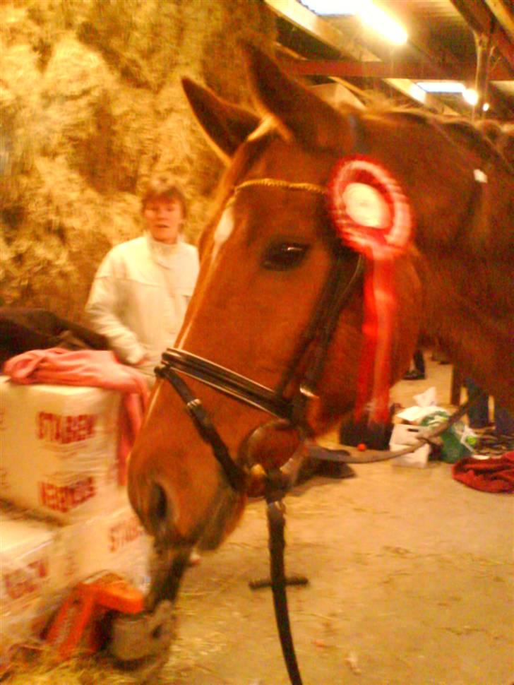 Anden særlig race Eddy - Første plads :D INGEN BILLEDER MÅ KOPIERS! billede 11