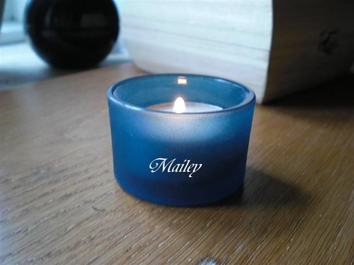 Anden særlig race Mailey  - RIP... billede 10