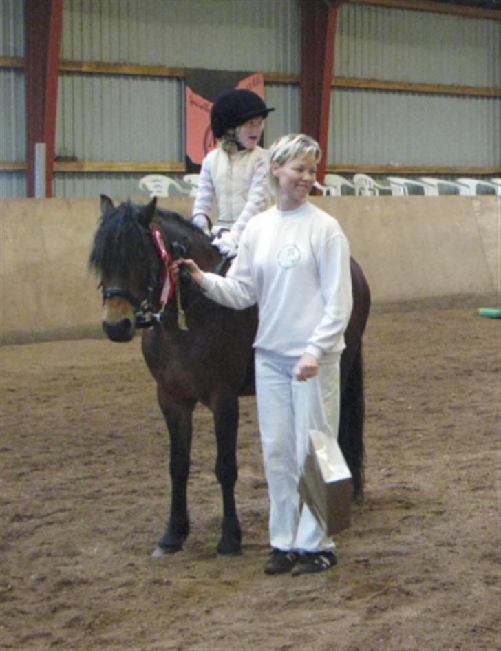 Welsh Pony af Cob-type (sec C) Korreborgs Sabina/solgt - Korreborg´s Sabina og SaragWulf lige vundet  en 1. pl. i Leadig Rein,, på Welsh ponyenes dag i Give 2009! De var også 0 i Microspring(u-klasse)  billede 17