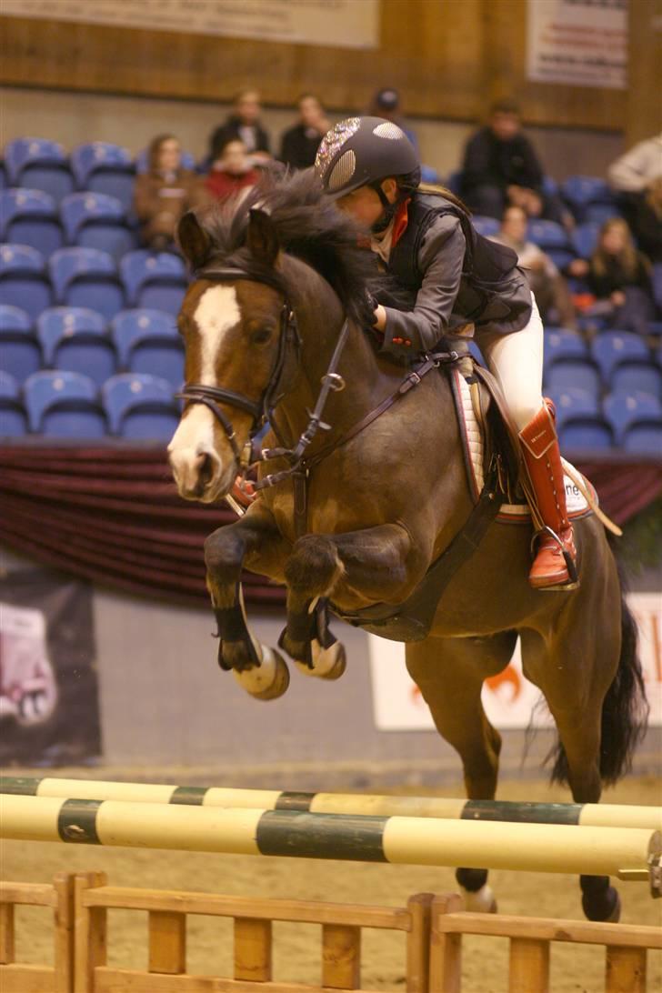 Anden særlig race Casco - Vores første stævne sammen, 1 uger efter jeg fik ham :-)
- Christmas show på Borgen.
www.youtube.com/stephanievollquartz billede 1