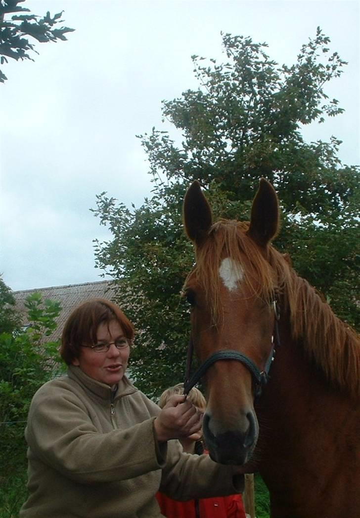 Anden særlig race Nikita solgt - freja igen billede 10