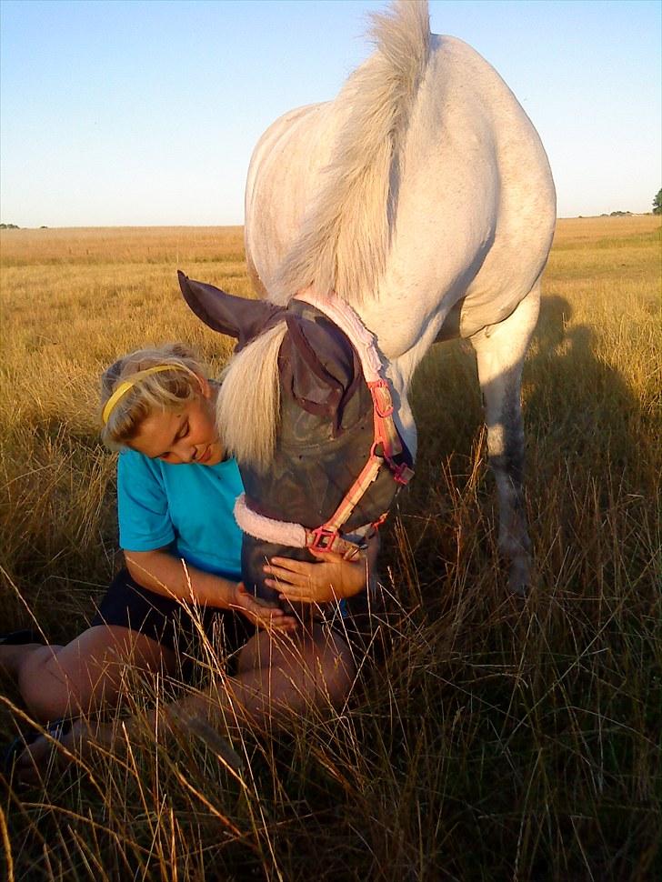 Anden særlig race Cloe :'( Min engel! R.I.P - Du lærte mig at elske  billede 14