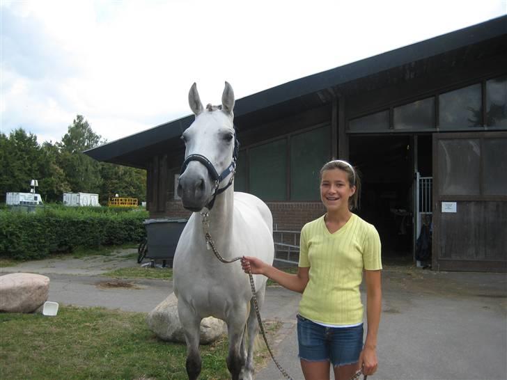 Hollandsk Sportspony | Cha-Cha - Cha-Cha!  billede 6