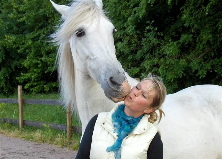 Cruzado Legolas - Nys 2008. billede 8