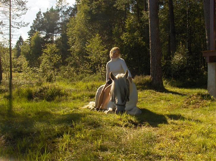 Cruzado Legolas - Gyland 2007, Legolas slapper lidt af i eventyr landskabet efter den lange køretur. billede 11