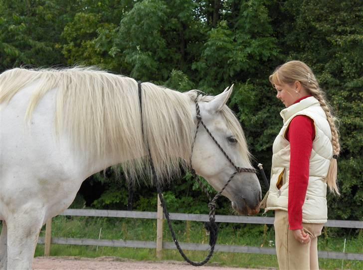 Cruzado Legolas - Legolas og Susanne 2007.  billede 13