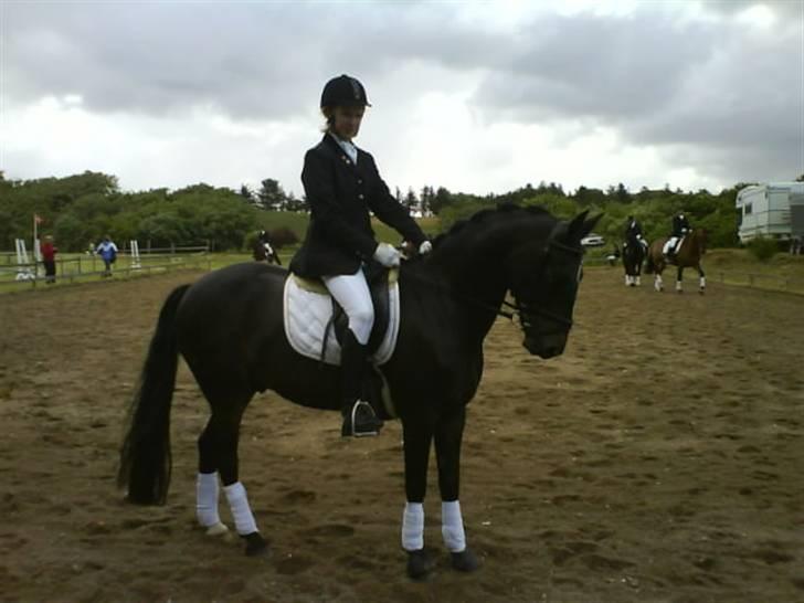 Connemara Benn. - 6# Til Thr stævne opvarmning til Lc1 lørdag<3  billede 6