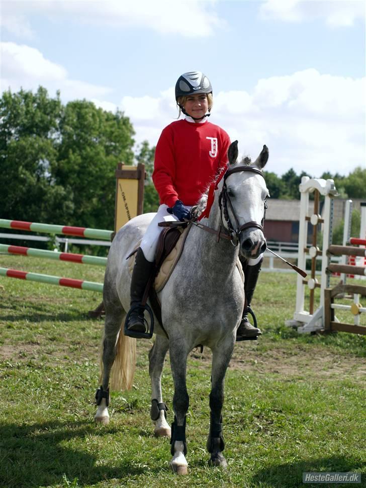 DSP Flicka  billede 1