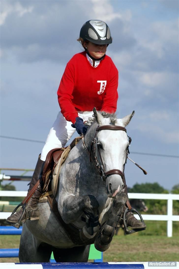 DSP Flicka  billede 3