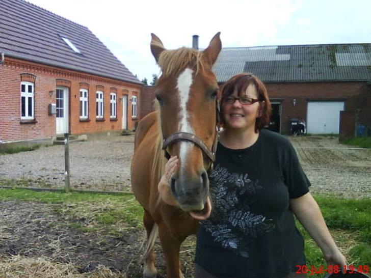 Anden særlig race Nikita solgt - mig og min smukke nikita billede 13