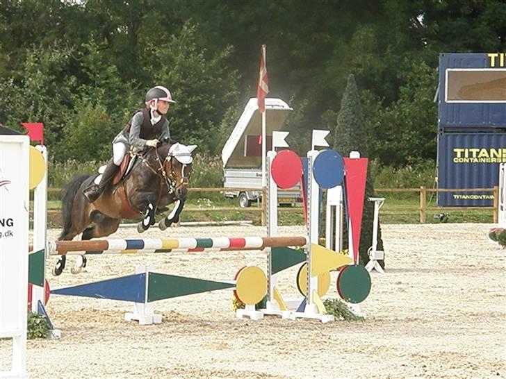 Welsh Pony (sec B) Bjerregård´s Felix B-pony - Mb opvamningsklasse til Dm i middelfart (´: <3<3<3<3<3<3<3<3<3<3<3 billede 12