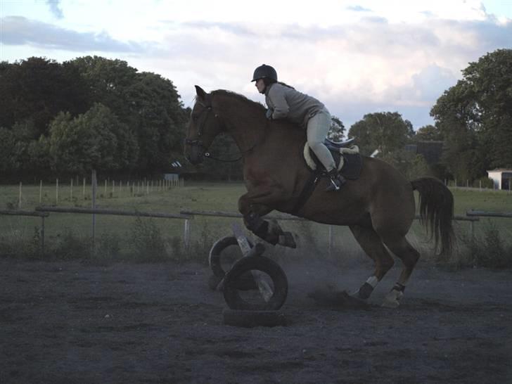 Oldenborg Ensock af Dybendal billede 11