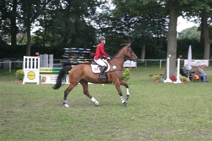 Dansk Varmblod Amanda - amanda til stævne i tyskland billede 4