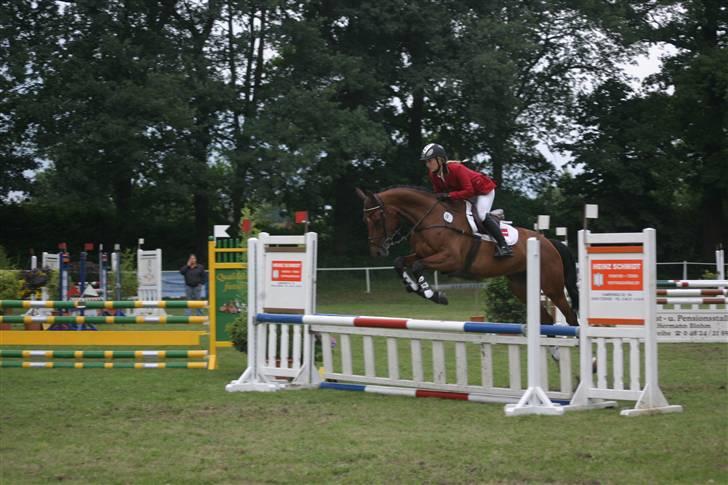 Dansk Varmblod Amanda - Amanda i tyskland billede 7