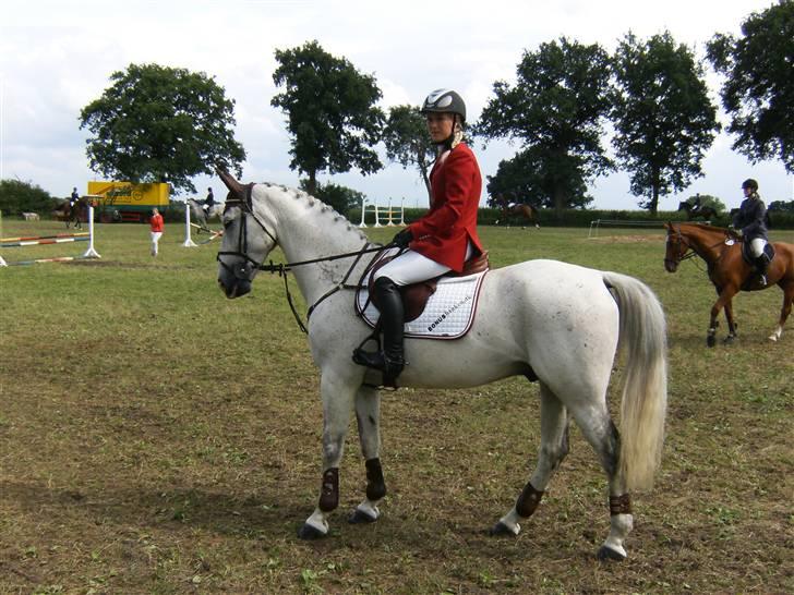 Anden særlig race Nobleman - Stævne i tyksland billede 8