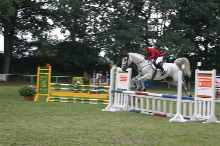 Anden særlig race Nobleman - stævne i tyskland billede 10