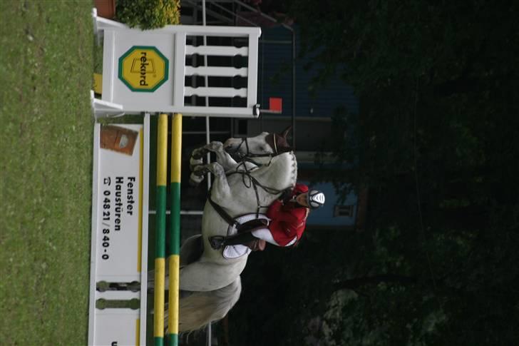 Anden særlig race Nobleman - stævne i tyskland billede 11