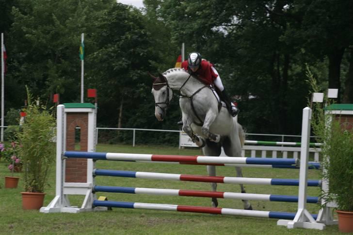 Anden særlig race Nobleman billede 12