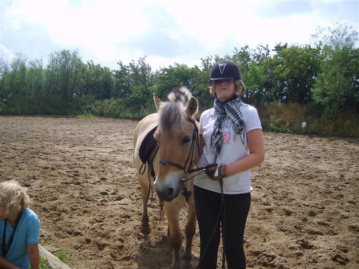 Fjordhest Musse/min søster's/Sandra - Musse og Sandra billede 3