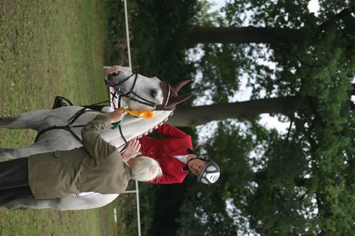 Anden særlig race Nobleman - Noble der vandt en tidsspringning i tyskland billede 14