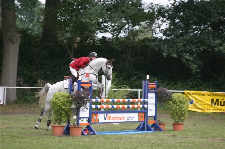 Anden særlig race Nobleman - tyskland, tidsspringning billede 15