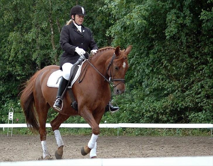 Anden særlig race Contesses Babe *>Rider<3! - Velkommen til Babes profil :D Hyllebjerg stævne LB2 dressur. billede 1