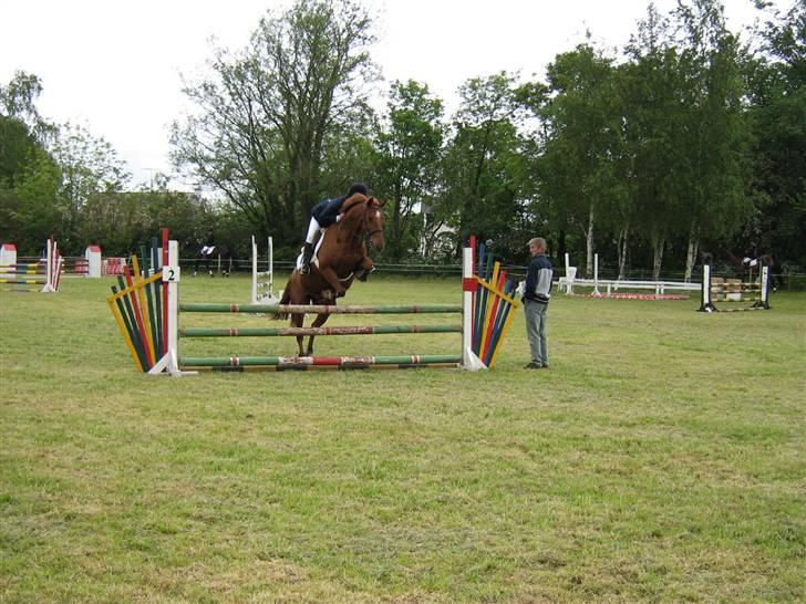 Anden særlig race Contesses Babe *>Rider<3! - springer, med kamilla h:) billede 5