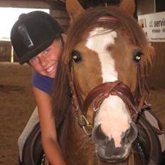 New Forest staldbakkens Tic-Tacs 