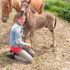 Islænder Máni fra Klovnhøj