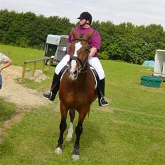 Oldenborg stidsbjergs Jarl  "DØD"