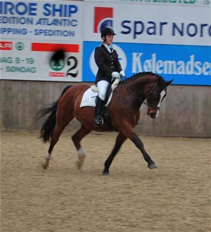 Dansk Varmblod Kadron Nexen (Ryppe) - LA1 i HIR. 1. plads, 66,5% d. 20/3-10 foto: Annika billede 2