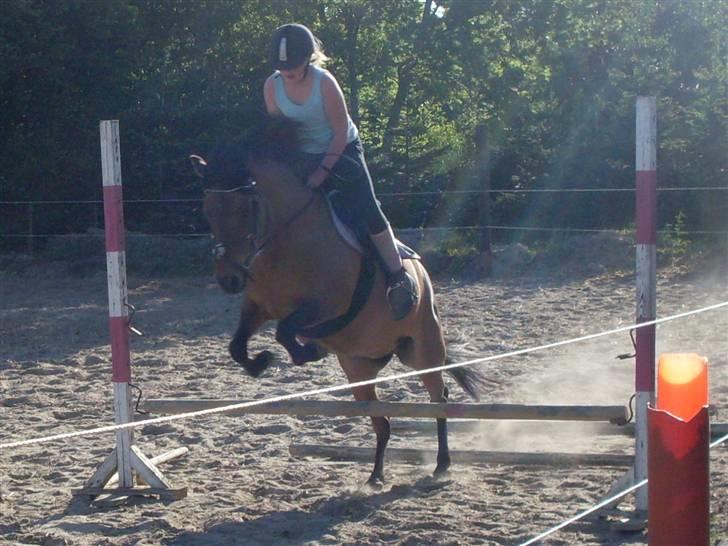 Anden særlig race KATJA - 65 cm billede 17