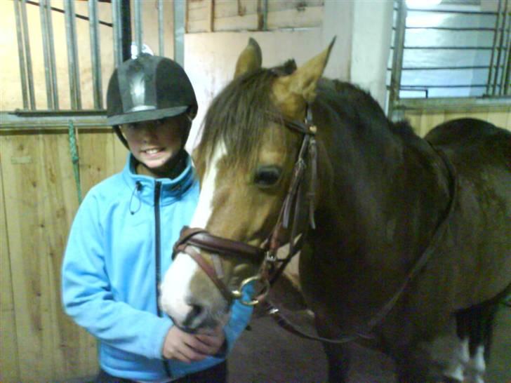 New Forest staldbakkens Tic-Tacs  - Her er vi så..(: billede 4