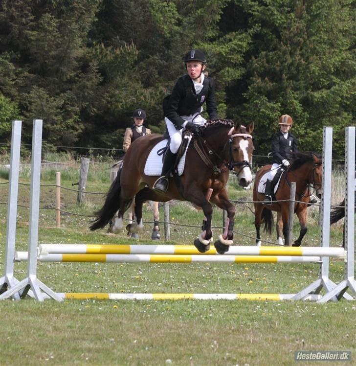 New Forest staldbakkens Tic-Tacs  - sikke som hun kan sååå dygtig :) billede 7