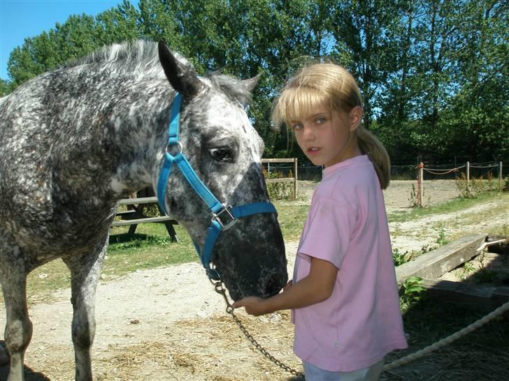 Appaloosa Benno - Hey vi står lige og hygger billede 1