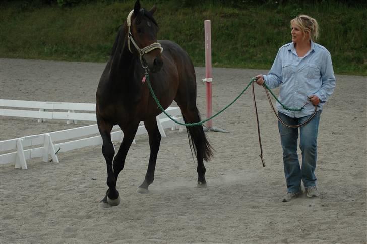 Dansk Varmblod Dane-Vangs Rafinel - raf og min mor (: billede 14