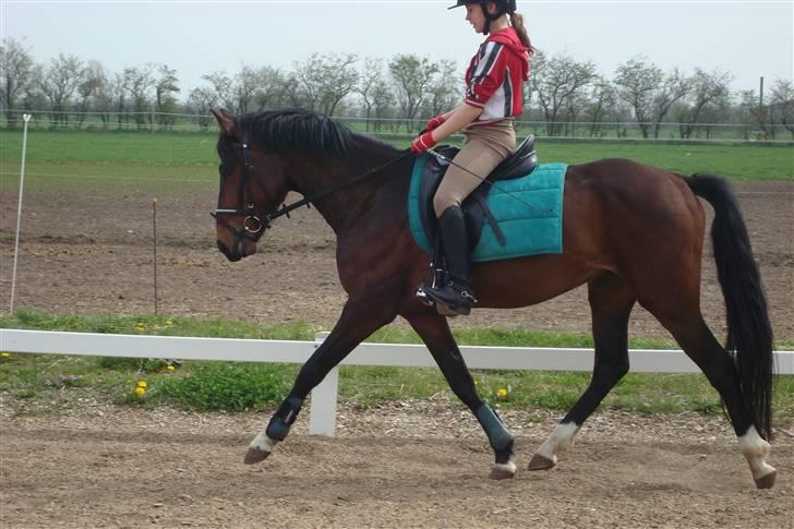 DSP Camerun (solgt) billede 1