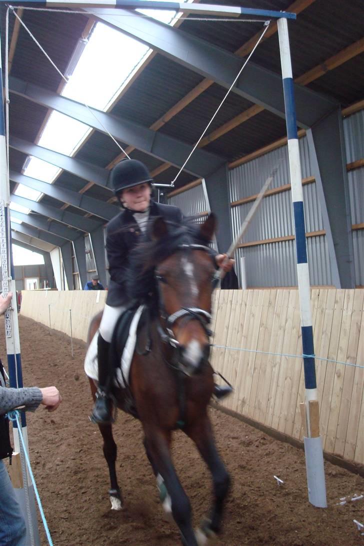 DSP Camerun (solgt) billede 7