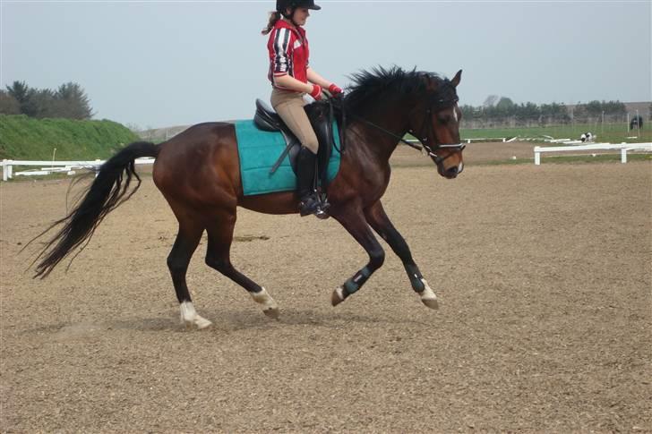 DSP Camerun (solgt) billede 9