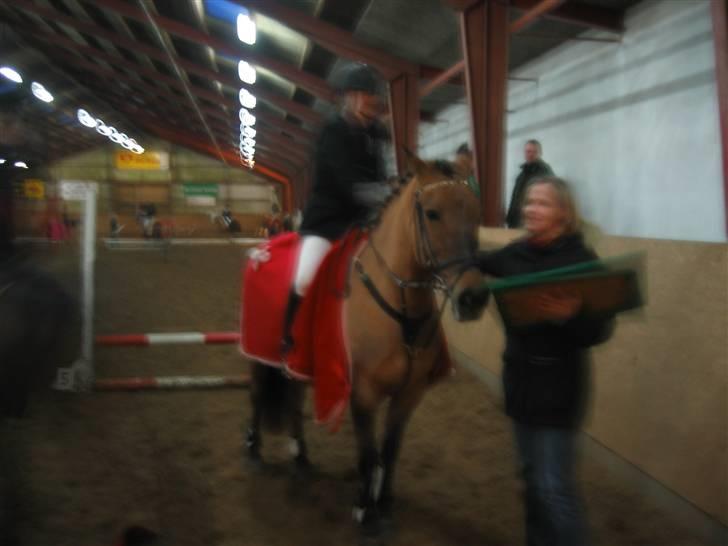 Anden særlig race Frk Smilla SOLGT billede 6