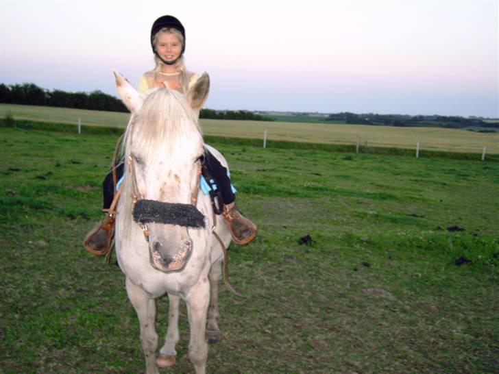 Knabstrupper Pippi - Pippi og mig billede 2