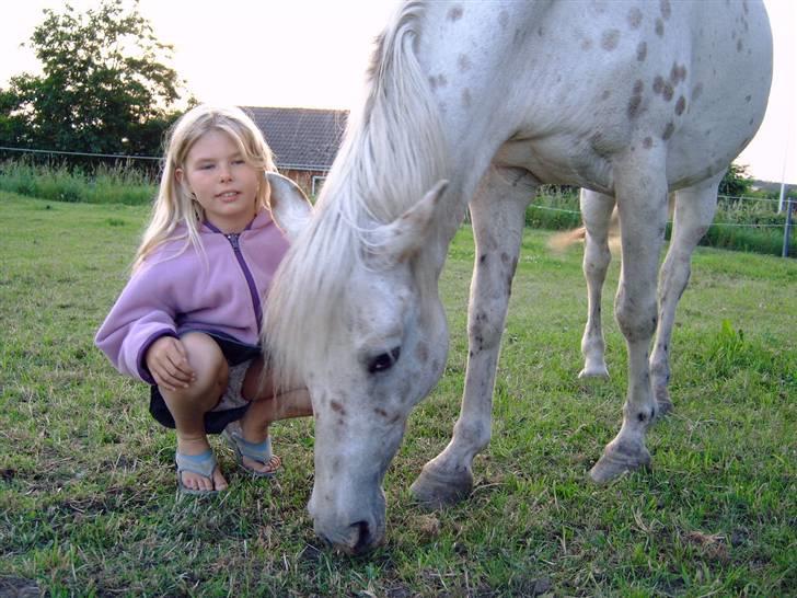 Knabstrupper Pippi - "mm dejlig græs" billede 7