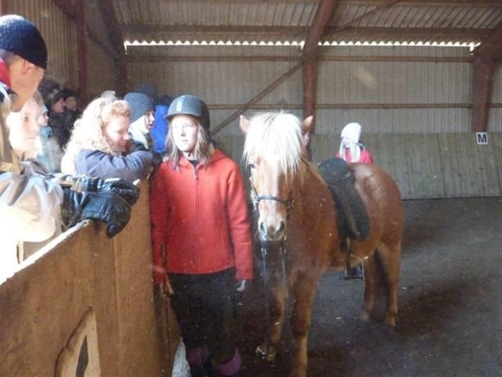 Islænder Demantur fra Nr. Tolstrup - Demantur og jeg efter finalen i 4.3 til Sneglas vinterstævne. Vi fik en 4. plads, og bl.a. 4.5 for øgninger, som vi slet ikke havde øvet os på inden :-D Foto: Februar 2010. billede 3