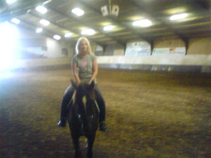 DSP Mitit - Hun går rigtig godt til hun kun har vært redet i to mdr. billede 17