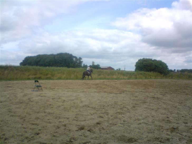 DSP Mitit - Hun går rigtig godt til hun kun har vært redet i to mdr. billede 18