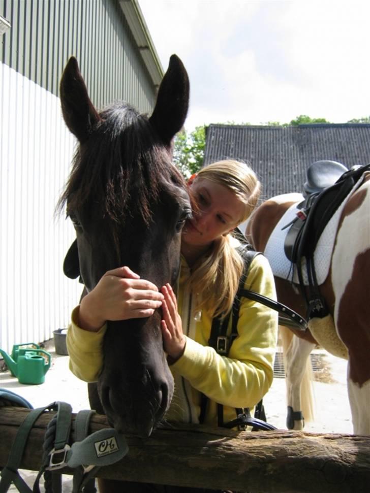 Anden særlig race *¤*Ferrari*¤*( † 2008 ) - Ferrari og mig nusser. Er han ikke sød :) (foto: c.s) billede 2