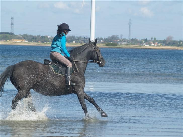 Anden særlig race Monique. Passer ikke mere - Moni og mig ved hesteskoen. billede 8