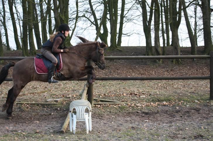 Islænder Katla - whiiiii :) dugtiggg billede 14