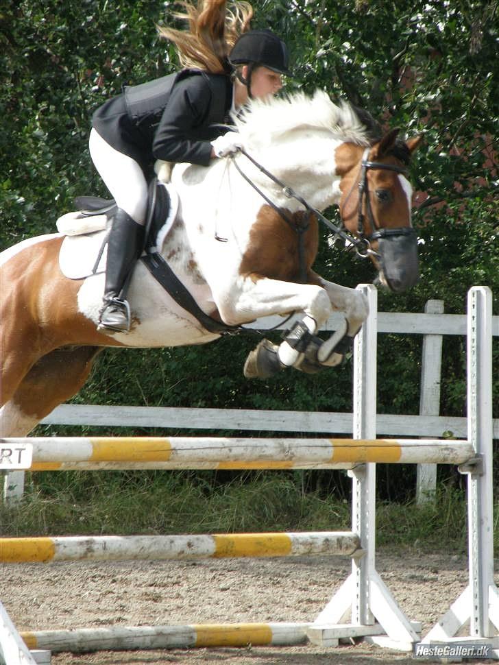 Pinto Falkenhus´s Vivaldi <3  - Lc på Ledøje-Smørum rideklub.. :D billede 17