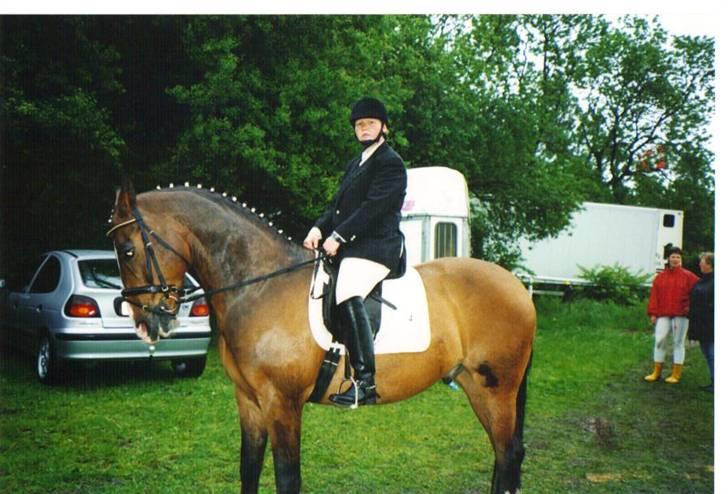 Oldenborg stidsbjergs Jarl  "DØD" - er lige blevet færdig med at ride billede 2